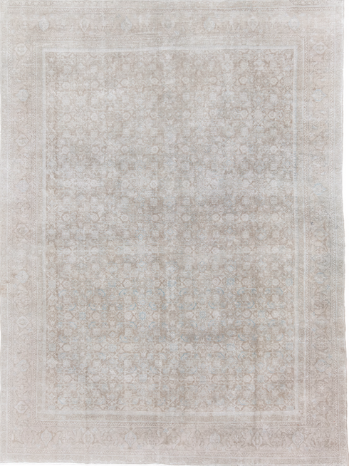 Vintage Mahal Area Rug (9' x 13')